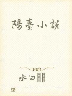 阳台小说封面