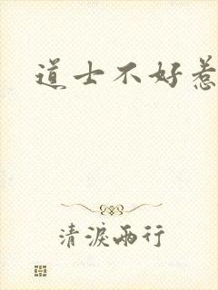 道士不好惹小说封面