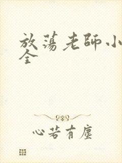 放荡老师小说大全封面