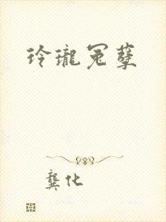 玲珑冤孽