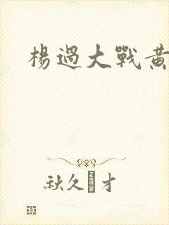 杨过大战黄蓉