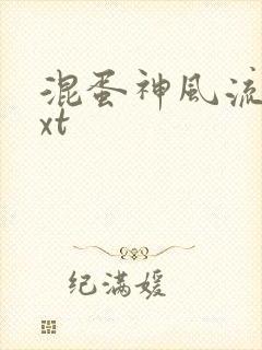 混蛋神风流史txt封面