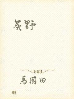 炙野封面