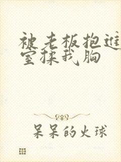 被老板抱进办公室揉我胸