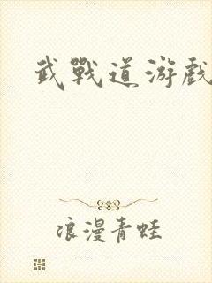 武战道游戏