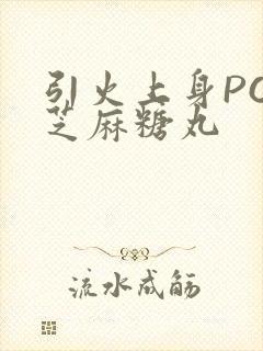 引火上身POP芝麻糖丸封面