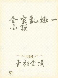 全家乱炖一锅烩小说