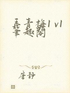弄青梅1 v1笔趣阁