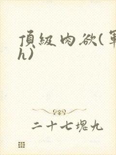 顶级肉欲(军高h)