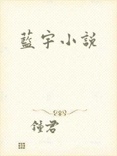 蓝宇小说封面