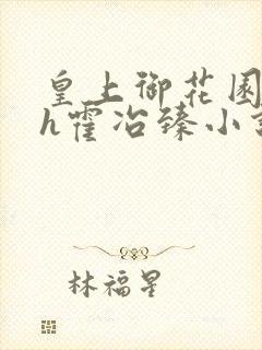 皇上御花园hlh霍冶臻小说