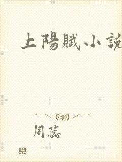 上阳赋小说