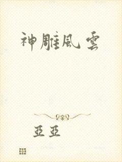 神雕风云