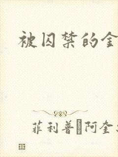被囚禁的金丝雀