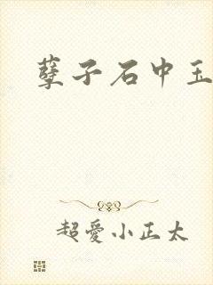 孽子石中玉封面