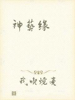 神艺缘封面