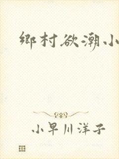 乡村欲潮小说封面