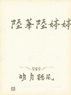 陆华陆婷婷封面