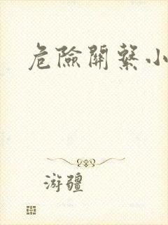 危险关系小说