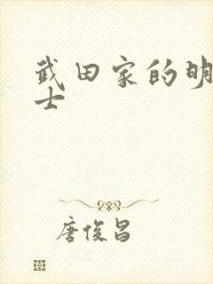 武田家的明国武士