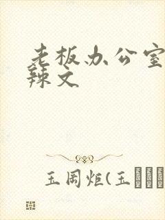 老板办公室系列辣文