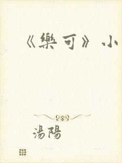 《乐可》小说
