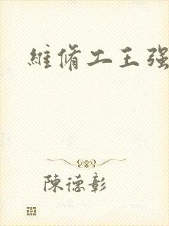 维修工王强张婷封面