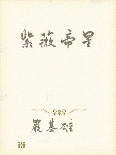 紫薇帝星封面