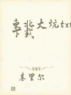 东北大炕txt下载