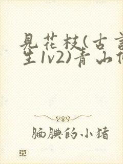 见花枝(古言重生1v2)青山候我小说