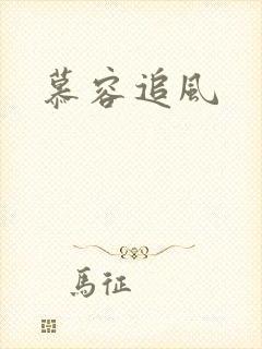 慕容追风