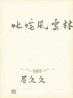 叱咤风云林云封面