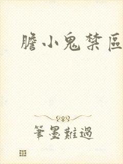 胆小鬼禁区