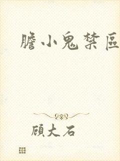 胆小鬼禁区封面