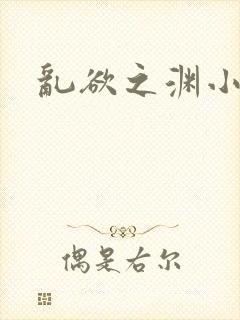 乱欲之渊小说封面