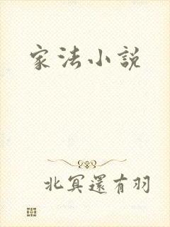 家法小说