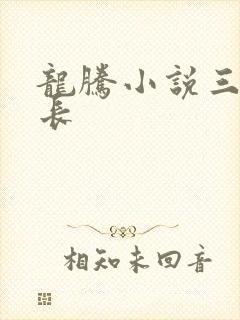 龙腾小说三宝局长
