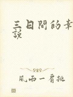 三日间的幸福小说封面