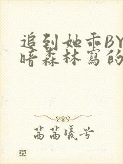追到她乖BY黑暗森林写的小说