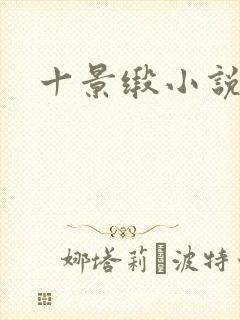 十景缎小说