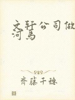 文轩公司做扩张河马