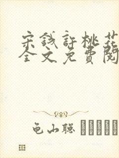 宋钱许桃花小说全文免费阅读封面