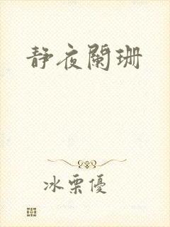 静夜阑珊封面