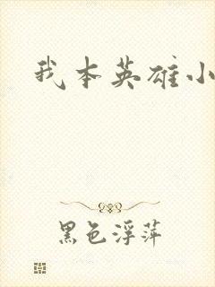 我本英雄小说