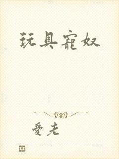 玩具宠奴