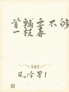 首辅要不够po一枝春