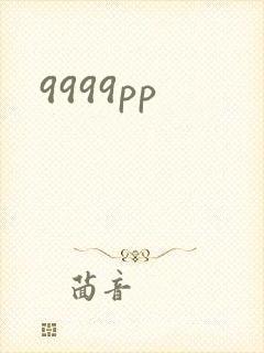 9999pp封面