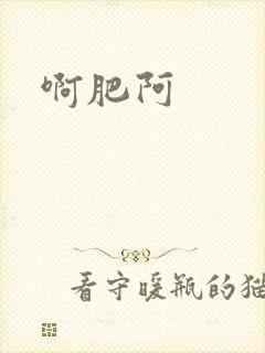 啊肥阿封面