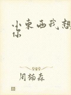 小东西我想弄坏你