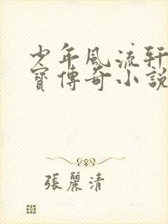少年风流轩辕大宝传奇小说